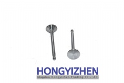 495A-01014，Exhaust Valve