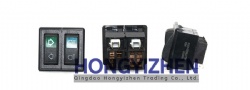 TS04482010006，Paddle Switch