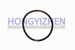 TY295.2-8 Seal Ring jiangdong