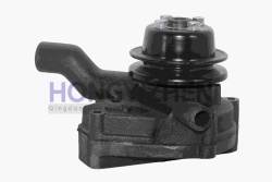 Водной насос 495TA2 Water pump 495TA2 qingjiang