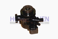 JD295 Water Pump jiangdong