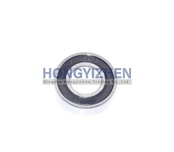 Ball Bearing,6004