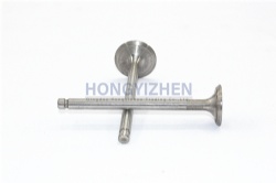 Exhaust Valve,LL480B-03015,engine parts,laidong