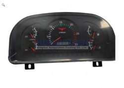 Instrument Cluster Assembly,CF1204.48.060,ChangFa