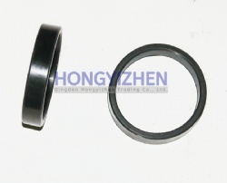 Rubber Ring FT304.42X.137